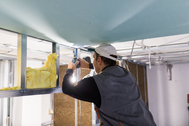 Best Residential Insulation in Lake Stevens, WA