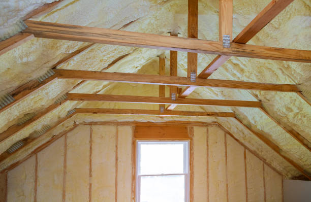 Best Residential Insulation in Lake Stevens, WA