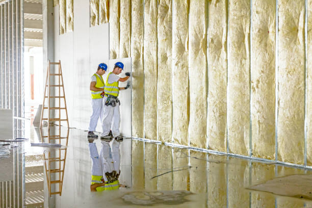 Best Cellulose Insulation in Lake Stevens, WA